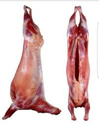 Fresh Goat Meat